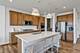 1156 Kessler, Mundelein, IL 60060