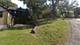 101 Siloam, Fox Lake, IL 60020