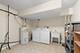 1723 Wildberry Unit C, Glenview, IL 60025