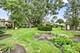 10 N Wildwood, Prospect Heights, IL 60070