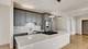635 N Dearborn Unit 2803, Chicago, IL 60654