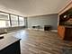 1000 N Lake Shore Unit 1007, Chicago, IL 60611