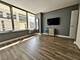 1000 N Lake Shore Unit 1007, Chicago, IL 60611