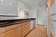 4170 N Marine Unit 11G, Chicago, IL 60613