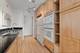 4170 N Marine Unit 11G, Chicago, IL 60613