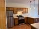 17009 Mendota Unit 17009, Lockport, IL 60441