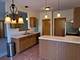 17009 Mendota Unit 17009, Lockport, IL 60441