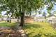 1461 Wentworth, Calumet City, IL 60409
