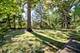 215 Prospect, Highland Park, IL 60035