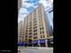 740 S Federal Unit 301, Chicago, IL 60605
