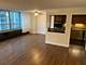 3550 N Lake Shore Unit 924, Chicago, IL 60657