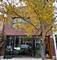 2134 N Damen Unit 2, Chicago, IL 60647
