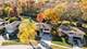 15340 Maple, Oak Forest, IL 60452