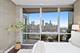 1201 S Prairie Unit 3602, Chicago, IL 60605