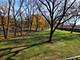 255 S West Unit 214, Elmhurst, IL 60126