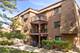 393 Duane Unit 203, Glen Ellyn, IL 60137