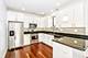 1707 S Ruble Unit 2S, Chicago, IL 60616
