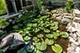 2716 Spring Creek, Rockford, IL 61107