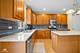 1 Firethorn, Bolingbrook, IL 60490