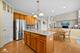 1 Firethorn, Bolingbrook, IL 60490