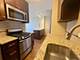 4180 N Marine Unit 1610, Chicago, IL 60613