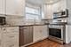 10528 S Aberdeen, Chicago, IL 60643