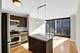 225 N Columbus Unit 5311, Chicago, IL 60601