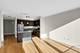 225 N Columbus Unit 5311, Chicago, IL 60601