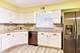 1025 S Fernandez Unit 3B, Arlington Heights, IL 60005