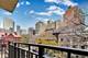 1350 N Astor Unit 4C, Chicago, IL 60610