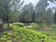 10018 Haegers Bend, Barrington Hills, IL 60102