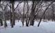 Vacant Heiden, Crest Hill, IL 60403
