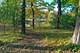 1650 Green Bay, Lake Bluff, IL 60044