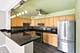 250 Ridge Unit 4H, Evanston, IL 60202