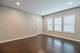1906 W 17th Unit 1, Chicago, IL 60608