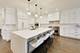 1955 N Halsted Unit PH, Chicago, IL 60614