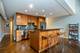 1130 W Cornelia Unit D, Chicago, IL 60657