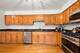 10502 San Luis, Orland Park, IL 60467