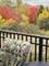440 W Mahogany Unit 312, Palatine, IL 60067