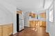 3019 S Lowe, Chicago, IL 60616