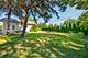 9725 Normandy, Oak Lawn, IL 60453
