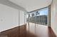 600 N Fairbanks Unit 3303, Chicago, IL 60611