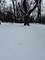 19611 Crawford, Flossmoor, IL 60422