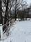19611 Crawford, Flossmoor, IL 60422