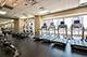 512 N Mcclurg Unit 4806, Chicago, IL 60611