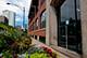 1727 S Indiana Unit 111, Chicago, IL 60616