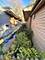 1307 S Harlem, Forest Park, IL 60130