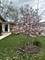 865 Magnolia, Lombard, IL 60148