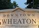 1217 Sunset, Wheaton, IL 60189