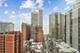40 E Cedar Unit 21C, Chicago, IL 60611